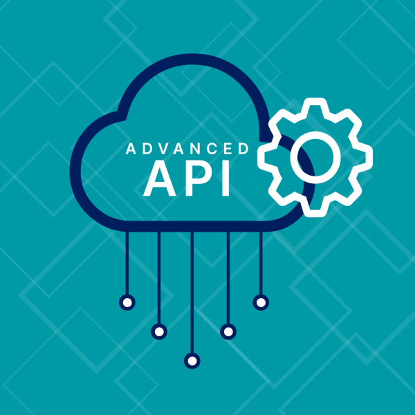 Advanced API Integration