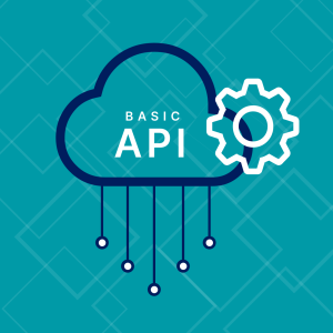 Basic API Integration
